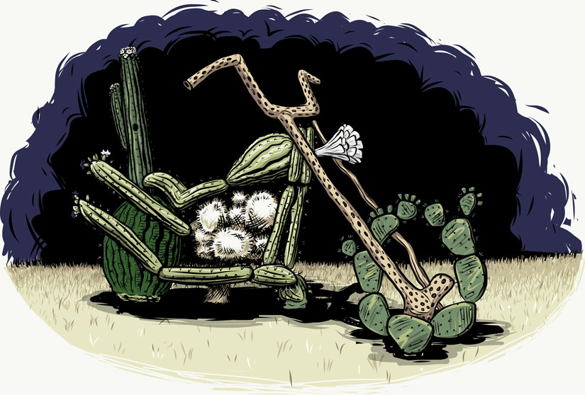 cactus motorcycle illustration